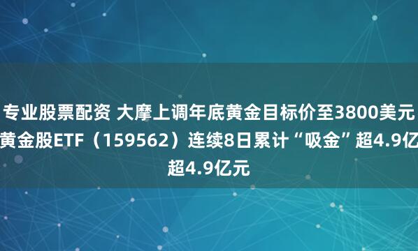 专业股票配资 大摩上调年底黄金目标价至3800美元,黄金股ETF(159562)连续8日累计“吸金”超4.9亿元