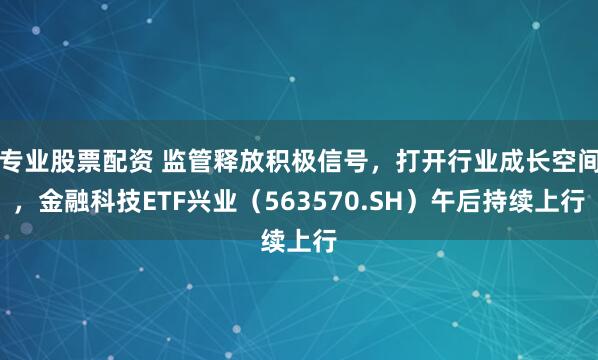 专业股票配资 监管释放积极信号，打开行业成长空间，金融科技ETF兴业（563570.SH）午后持续上行
