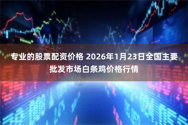 专业的股票配资价格 2026年1月23日全国主要批发市场白条鸡价格行情