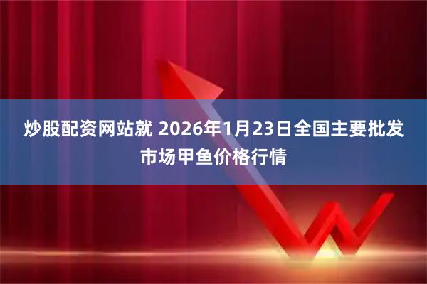 炒股配资网站就 2026年1月23日全国主要批发市场甲鱼价格行情
