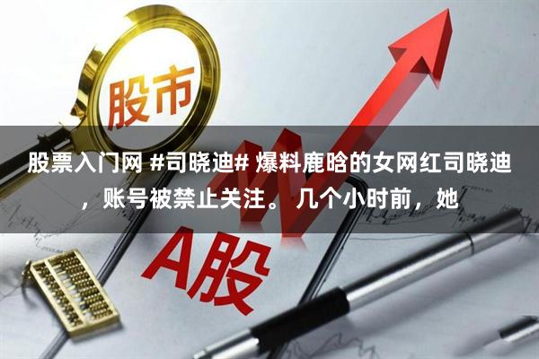 股票入门网 #司晓迪# 爆料鹿晗的女网红司晓迪，账号被禁止关注。 几个小时前，她