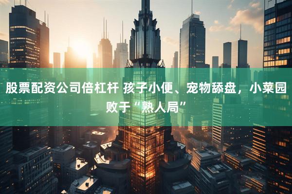 股票配资公司倍杠杆 孩子小便、宠物舔盘，小菜园败于“熟人局”